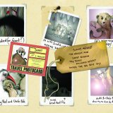 KS1 Book topic: Meerkat Mail