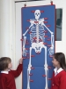 Dem Wall-mountable Bones - Image 1