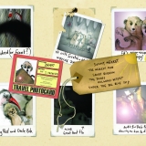 KS1 Book topic: Meercat Mail