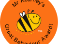 Rewards Designed by the Teacher