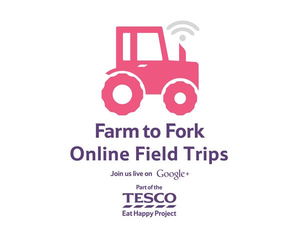 Farm to Fork Online Field Trips