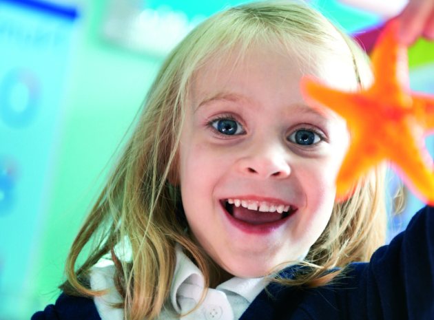 Outstanding schools: Belleville Primary