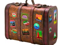 Building curiosity in the primary classroom