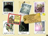 KS1 Book topic: Meerkat Mail