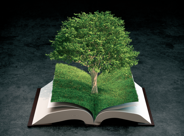 Get more from your library