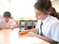 KS2 Book Topic: The Miraculous Journey of Edward Tulane