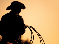 Behaviour management – the Clint Eastwood way