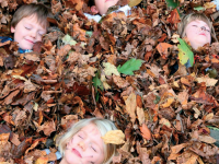 Teaching hibernation