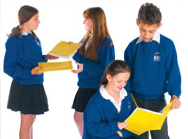 Using peer assessment in the primary classroom