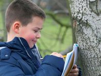 KS1 and KS2 art: be inspired by nature
