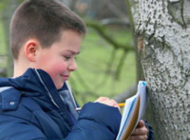 KS1 and KS2 art: be inspired by nature
