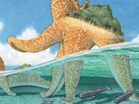 KS2 Book Topic: Flotsam