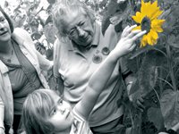 Teach an outdoor curriulum
