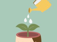 Beginner’s guide to Carol Dweck’s mindsets