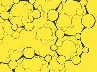 The Myth of the maths gene