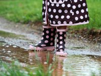 Teaching the curriculum outdoors
