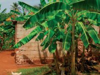 Leading a school in Africa