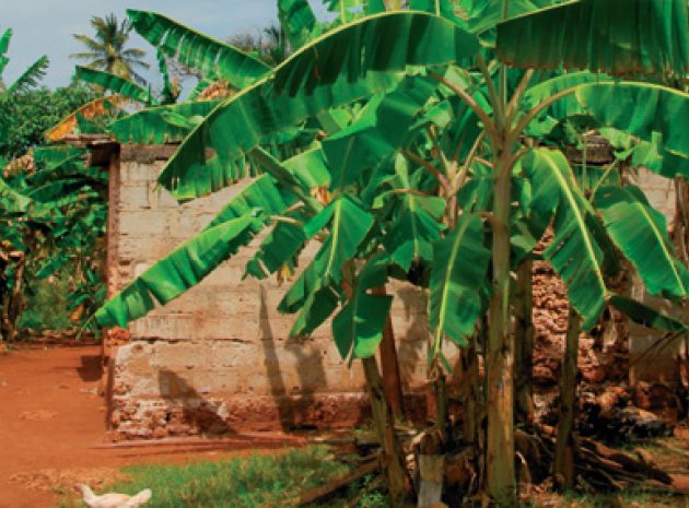 Leading a school in Africa